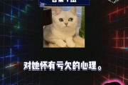 吃瓜网娱乐八卦视频在线观看